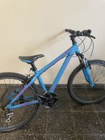 Velo Bergamont