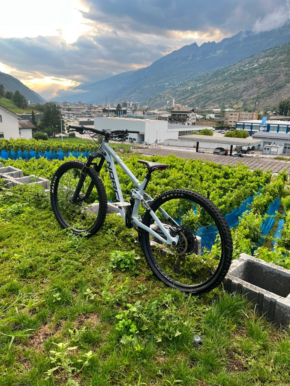 Norco Velos: Norco Fluid – Gebraucht aus Eyholz von des_xg2x 1