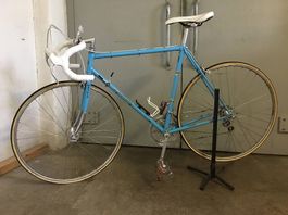 Fahrrad Kristall 