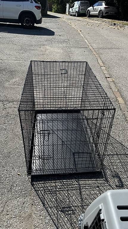 Gabbie, trasporto & Sicurezza: Gabbia per animali – Usato da Cadro venduto da rac_cw68 4