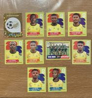 Panini Sticker - RSA - 10 Stickers