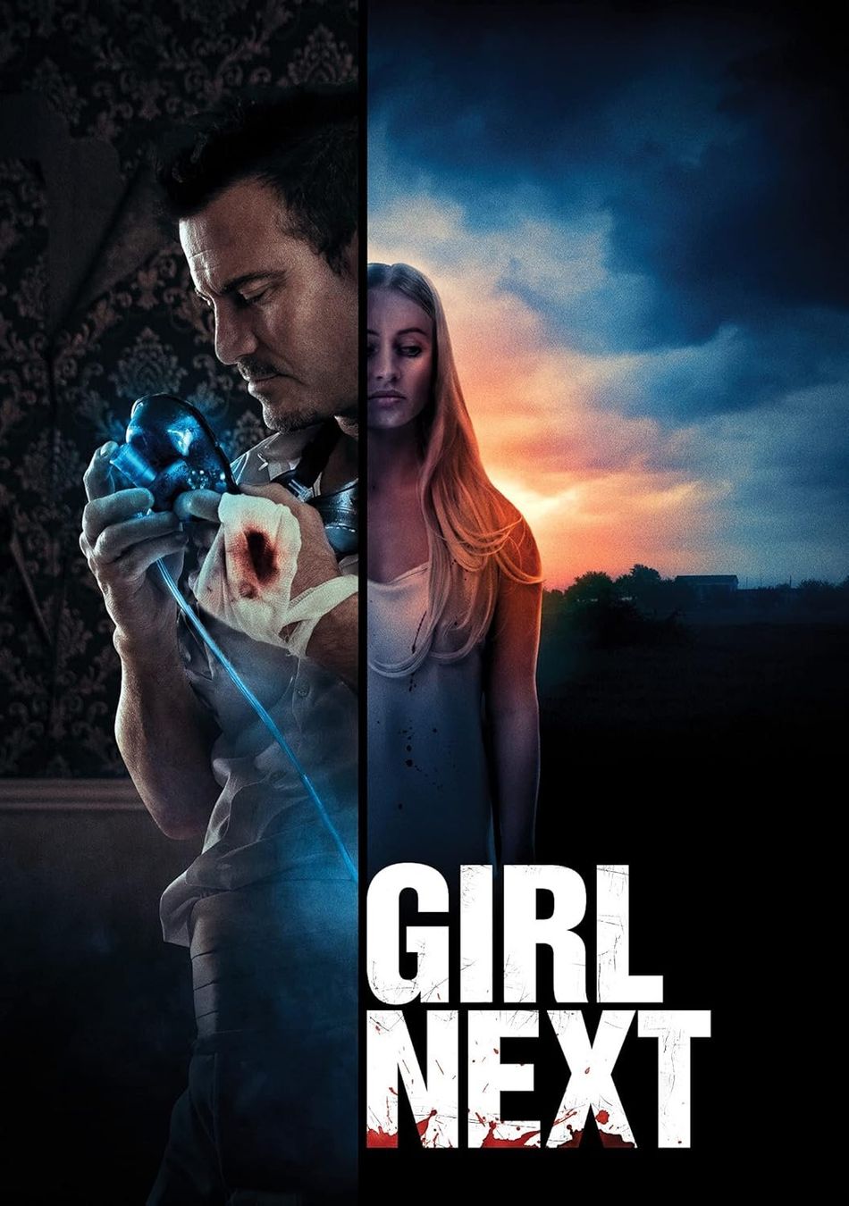 Tutti i DVDs: GIRL NEXT – Usato da Reinach AG venduto da Masi 3