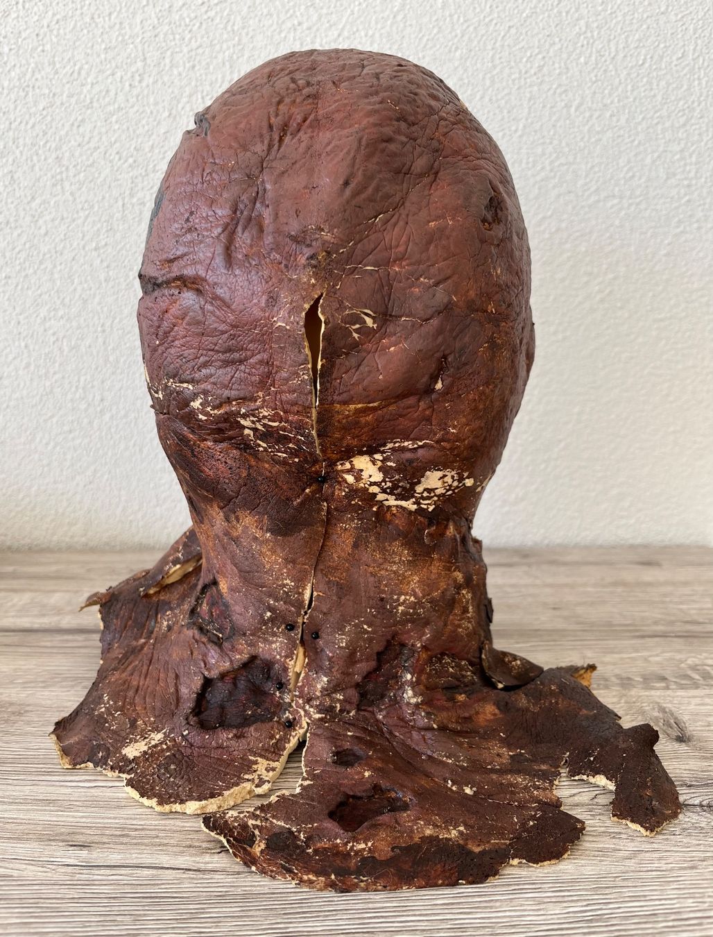 Bücher: Jason Voorhees / Kane Hodder Worn Make-Up – Gebraucht aus Malters von starfighter01 2