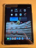 iPad Air 2, 128 GB, Top Zustand, inkl. Hülle und Schutzglas
