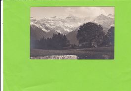 Braunwald