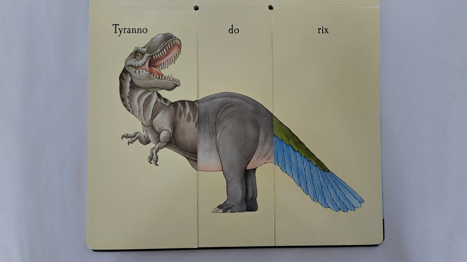 Bücher: Das verrückte Dino-Klappbuch / Sara Ball / Dinosaurier – Gebraucht aus Bellach von JingleJerry 7