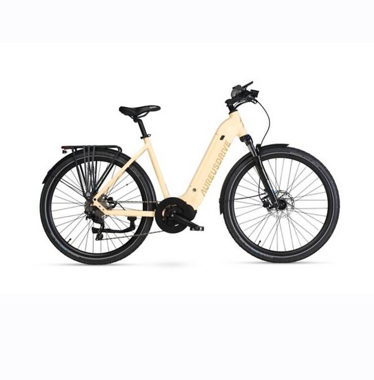Biciclette: Vélo et cargo électrique neuf – Usato da meyrin venduto da ebehar 1