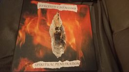 Eerified Catacomb-Spiritual...Vinyl LP BLACK METAL 