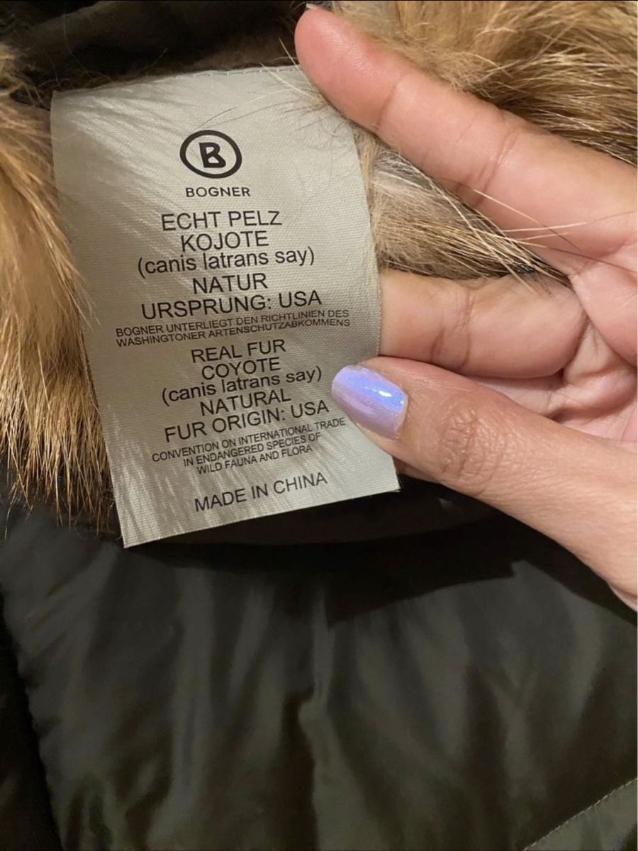 Bogner Manteaux: Bogner Fire+Ice Womens Winter Jacket Gr. 36 – D'occasion à Luzern par rec_8srh 1