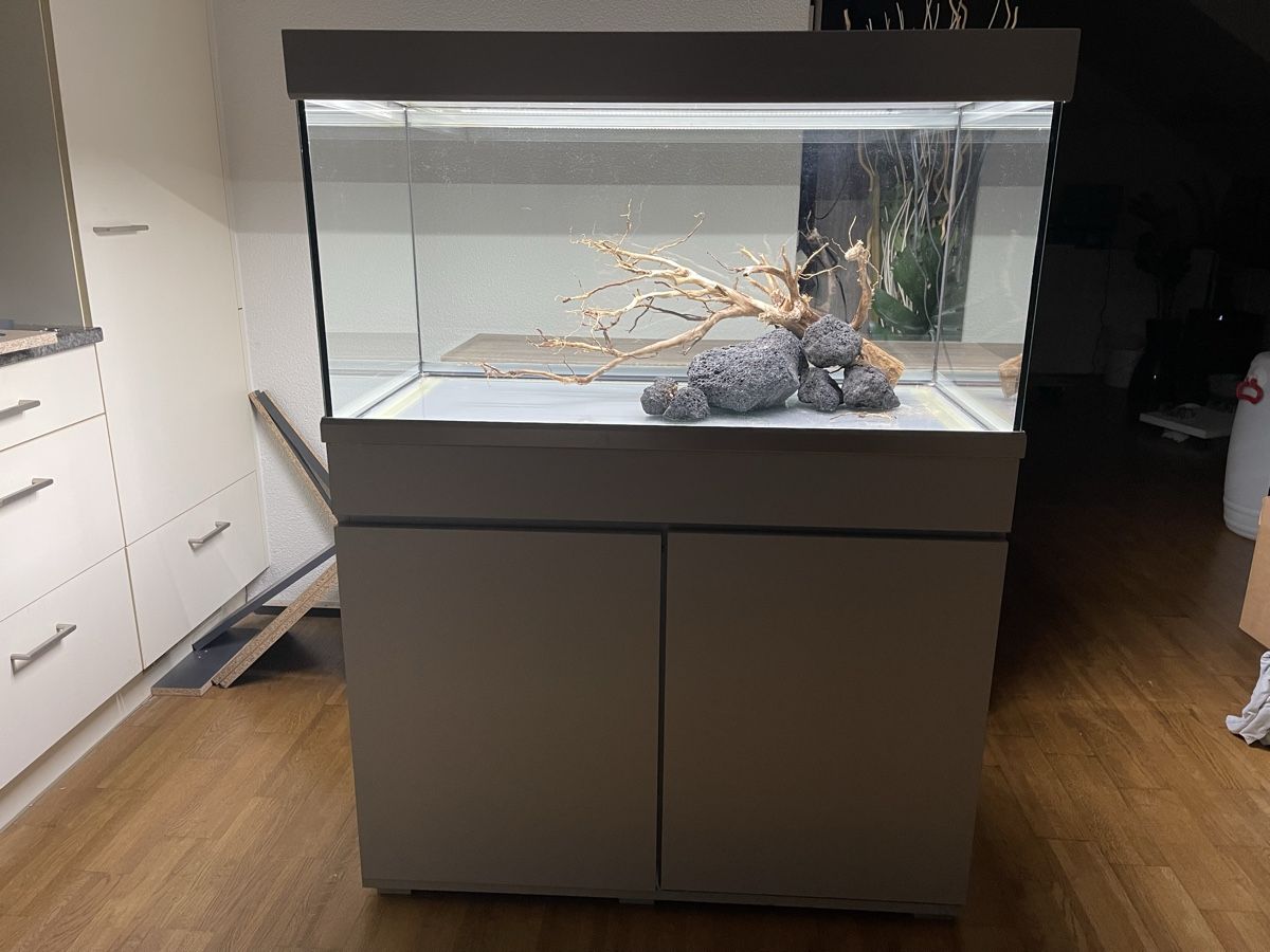 Eheim Acquari: Aquarium 🐠 250 Lt. – Usato da Hinwil venduto da ron_t8wh