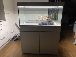 Aquarium 🐠 250 Lt.