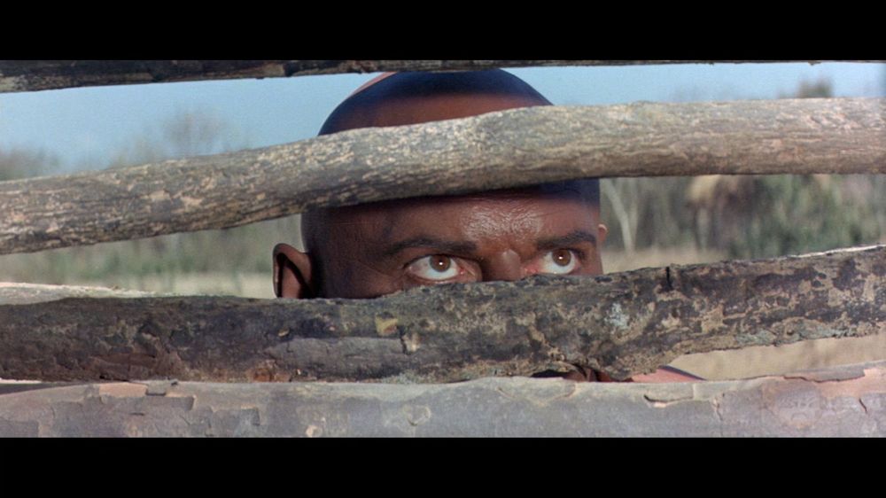 Könige der Sonne (1963) J. Lee Thompson/Yul Brynner DVD Kaufen auf