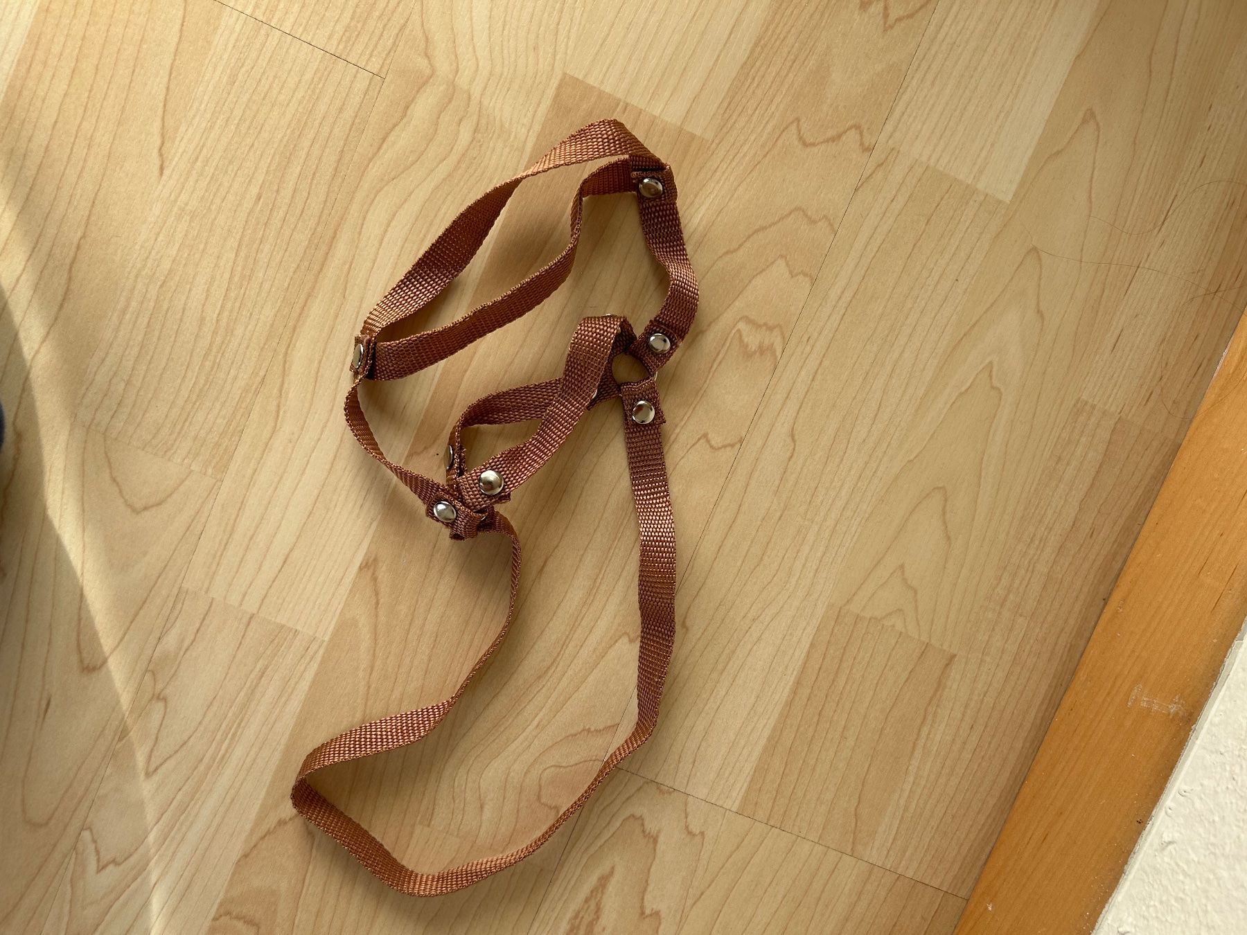 Giocattoli: Hobby Horse - Quarter Horse – Usato da Winterthur venduto da Flamenca7 6