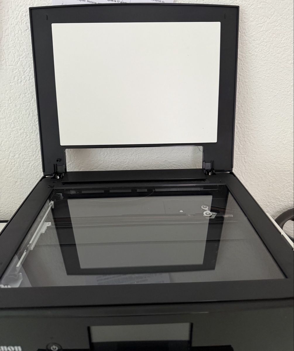 Canon Stampanti: IMPRIMANTE CANON PIXMA TS8250 – Usato da St-Imier venduto da ene_7b7p 1