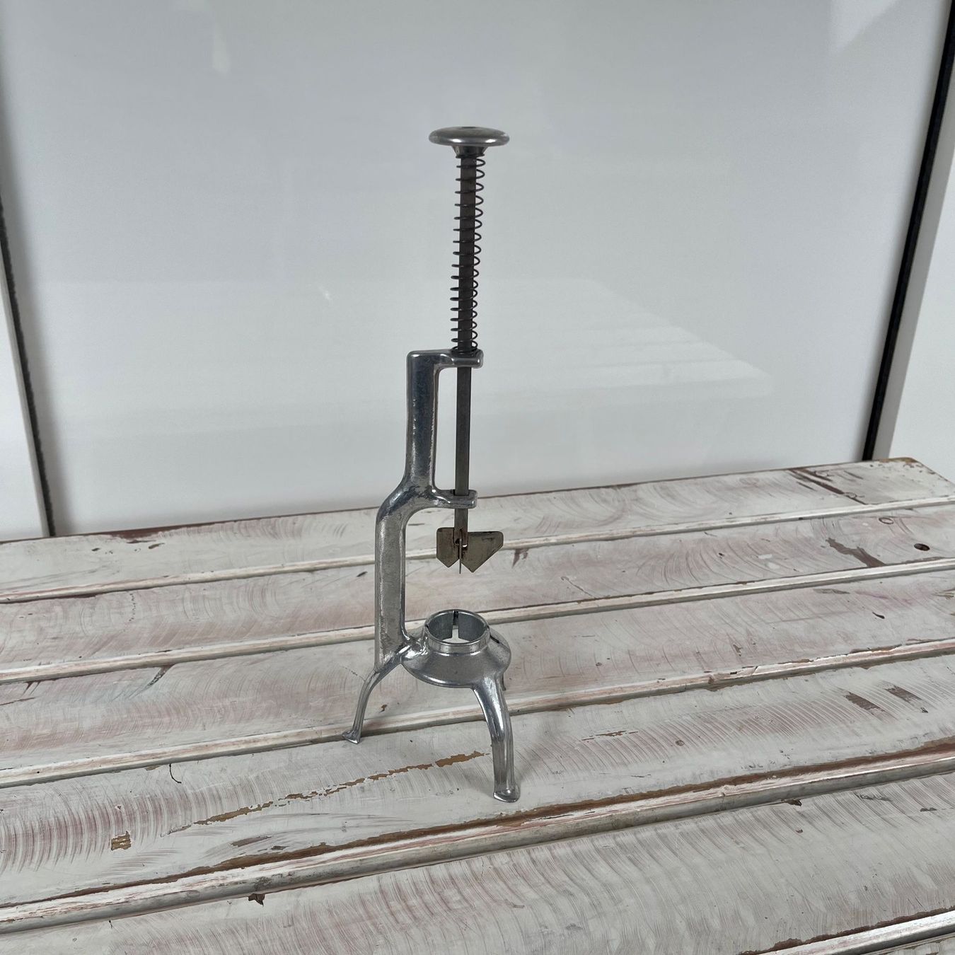 Elettrodomestici da cucina: Kirschentsteiner Aluminium – Usato da Zwillikon venduto da roadcycilist76