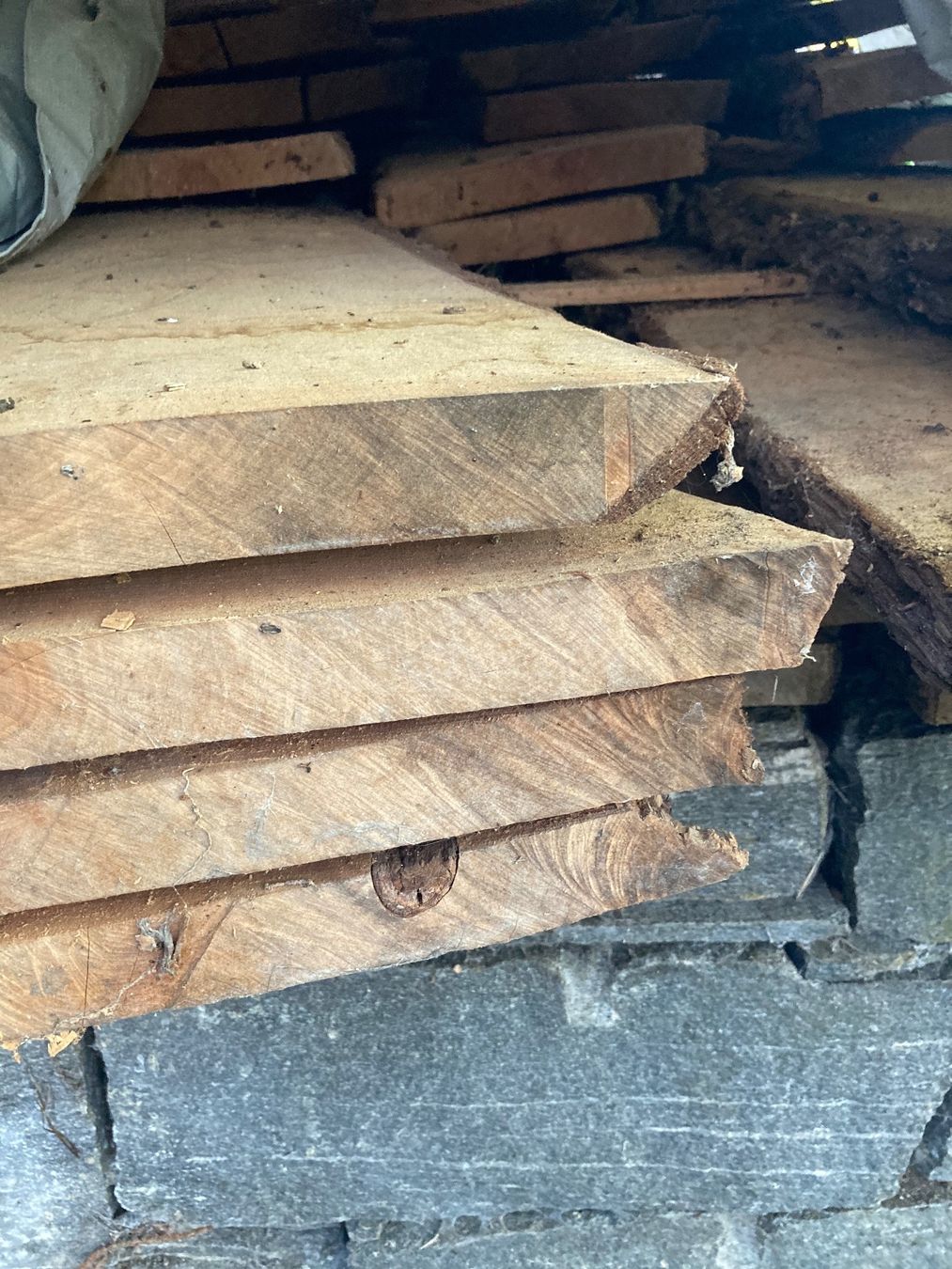 Articoli in legno: Birnbaum, hochwertigste Ware EINZELNE BRETTER – Usato da Uttwil venduto da Dolphin7