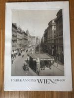 Vintag Fotograf Bilder Wien 1870-1021