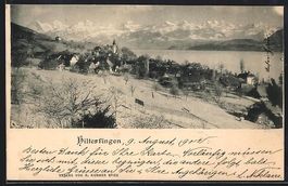 Hilterfingen, Ortsansicht aus der Vogels