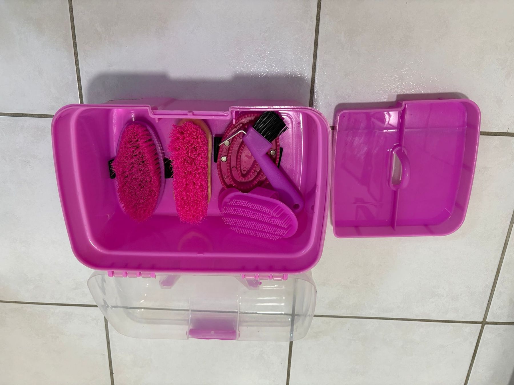 Scarpe per cavalli: Équipement d'équitation – Usato da Granges-Paccot venduto da smo_dp89 6