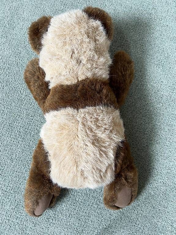 Jouets: Steiff Bär Molly Panda – D'occasion à Zürich par Voerny 2