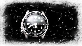 1)News Citizen Promaster Marine Diver Automatic Meter 200 -