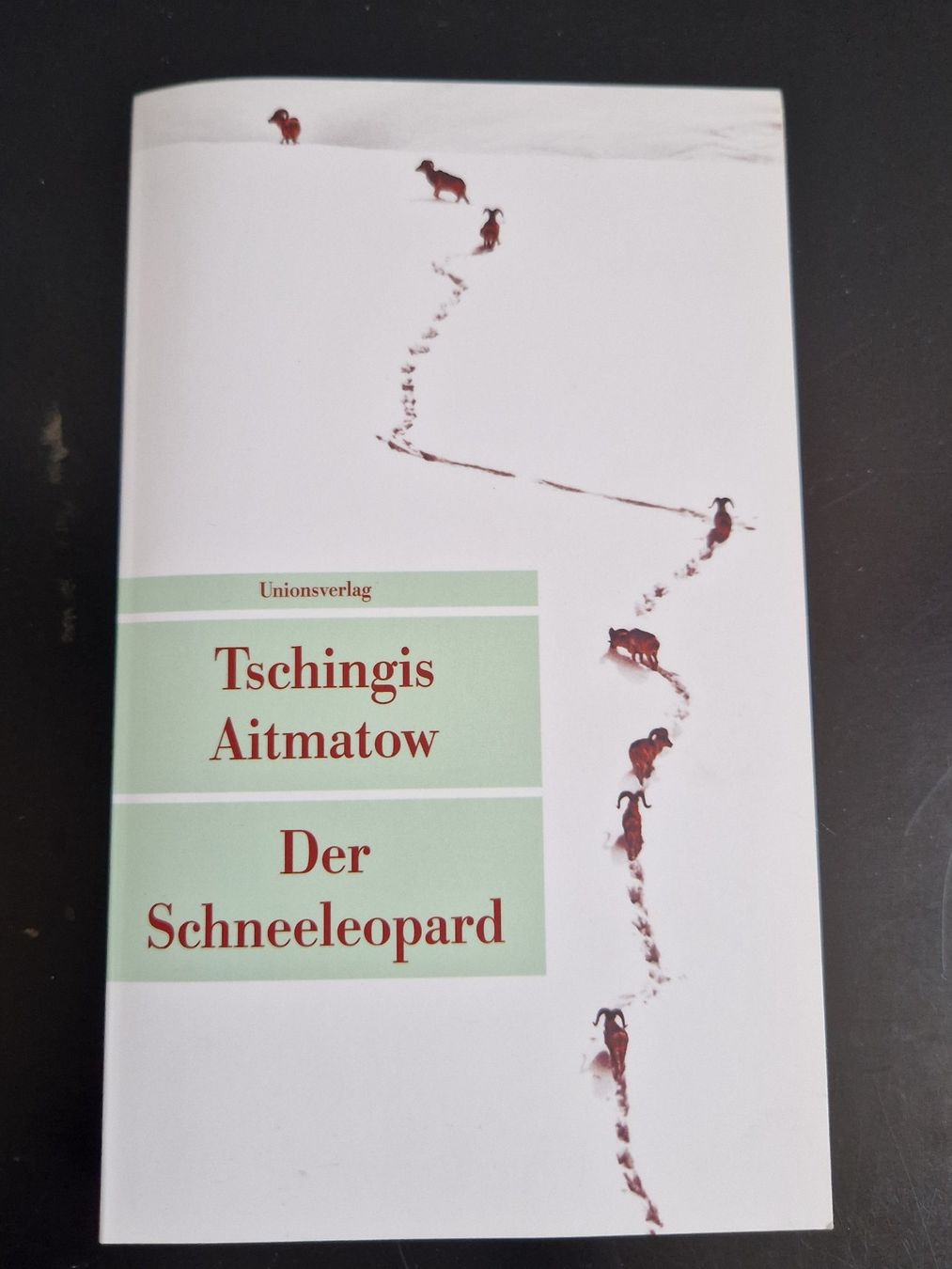 Libri: Der Schneeleopard (Tschingis Aitmatov) – Usato da Rüti ZH venduto da Gigelisuppe