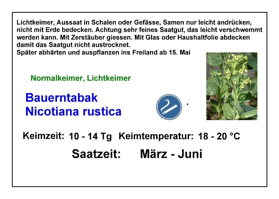 Piante & sementi: Bauerntabak - Nicotiana rustica - ca. 300 Samen – Nuovo e nell'imballaggio originale da Sumiswald venduto da Cham14559 2