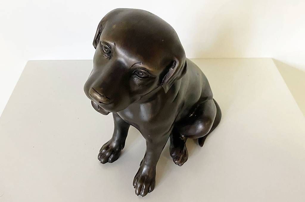Sculture & Statue: Bronzefigur, kleiner sitzender Labrador – Nuovo (secondo la descrizione) da Ballwil venduto da ClassicGallery 1