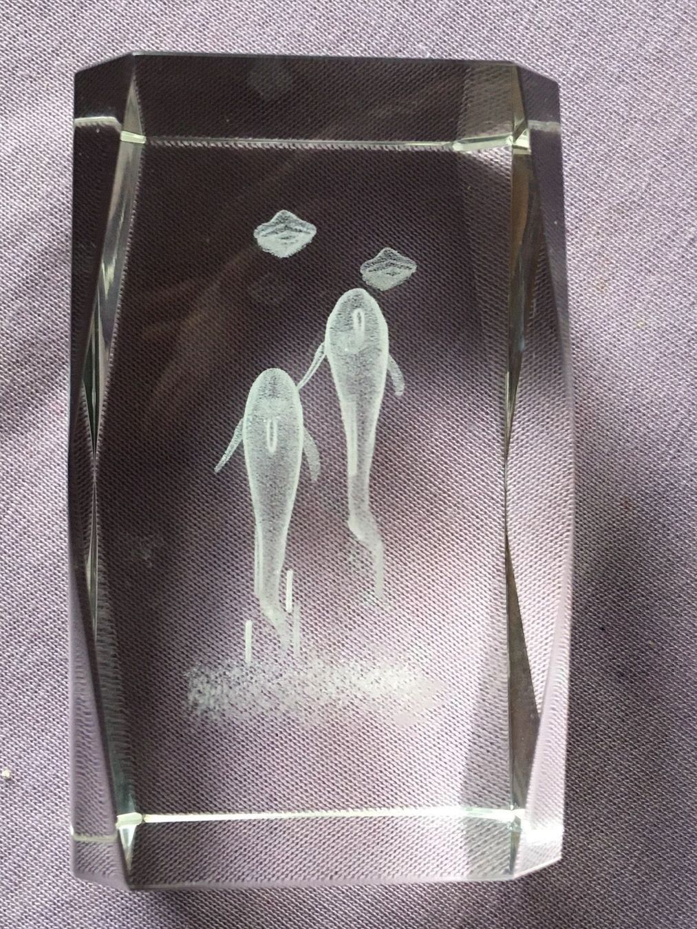 Bicchieri: Glasquader Delphine 3D – Usato da Bauma venduto da Budgerigar 3