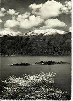 Isole presso Ascona