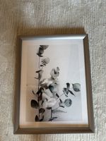 Dekobild mit Rahmen – Eukalyptus – 43 × 33 cm
