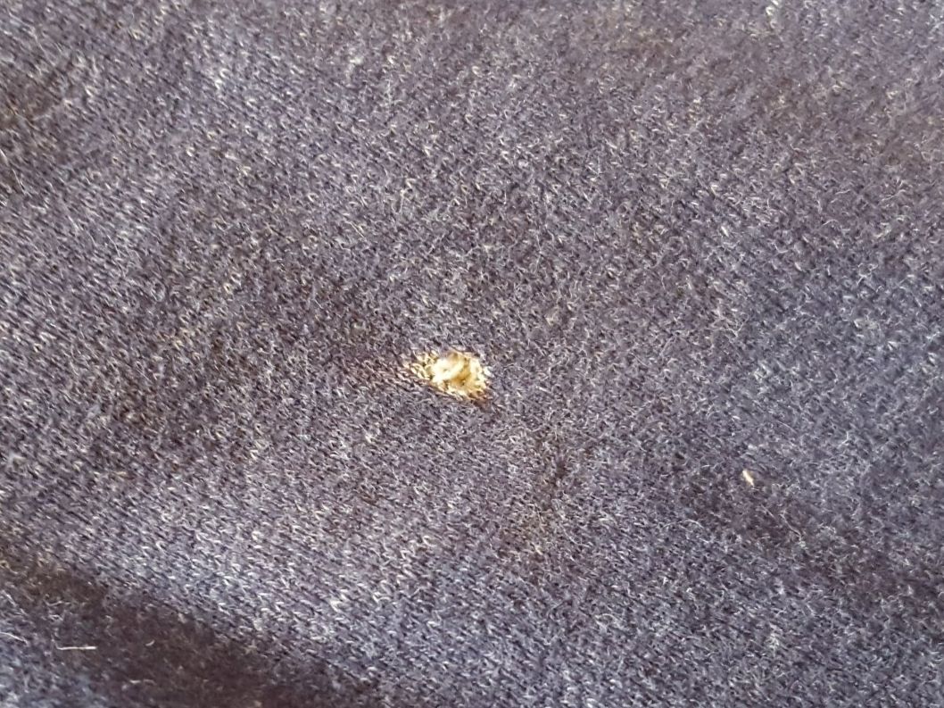 Naketano Maglioni & Felpe: Naketano Kapuzenpullover Gr. M – Usato da Worb venduto da FroLok 8