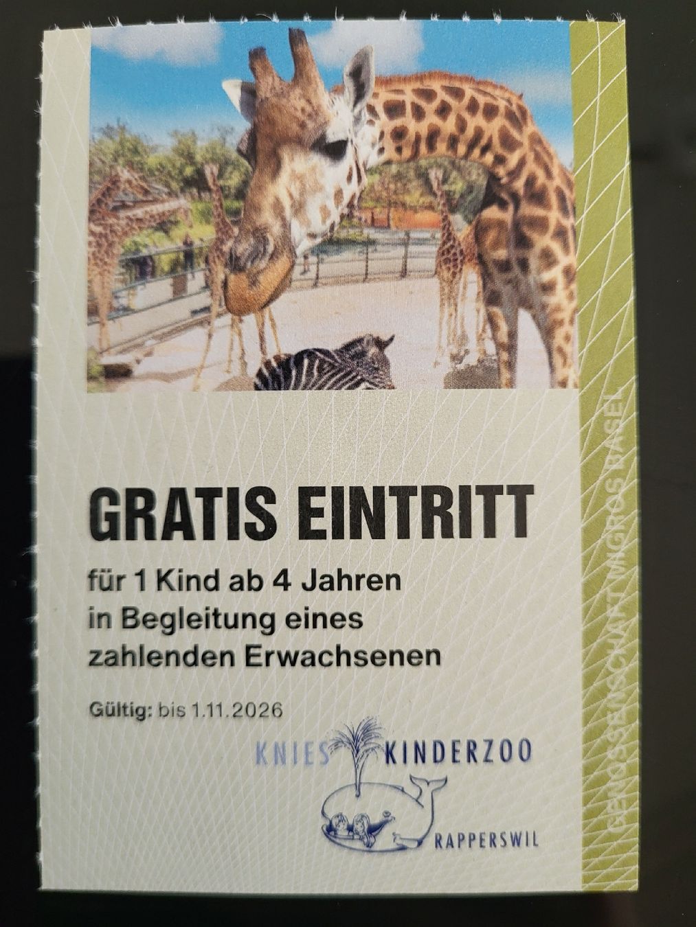 Gutscheine: Knie's Kinderzoo – Neu (gemäss Beschreibung) aus Therwil von Hexe13