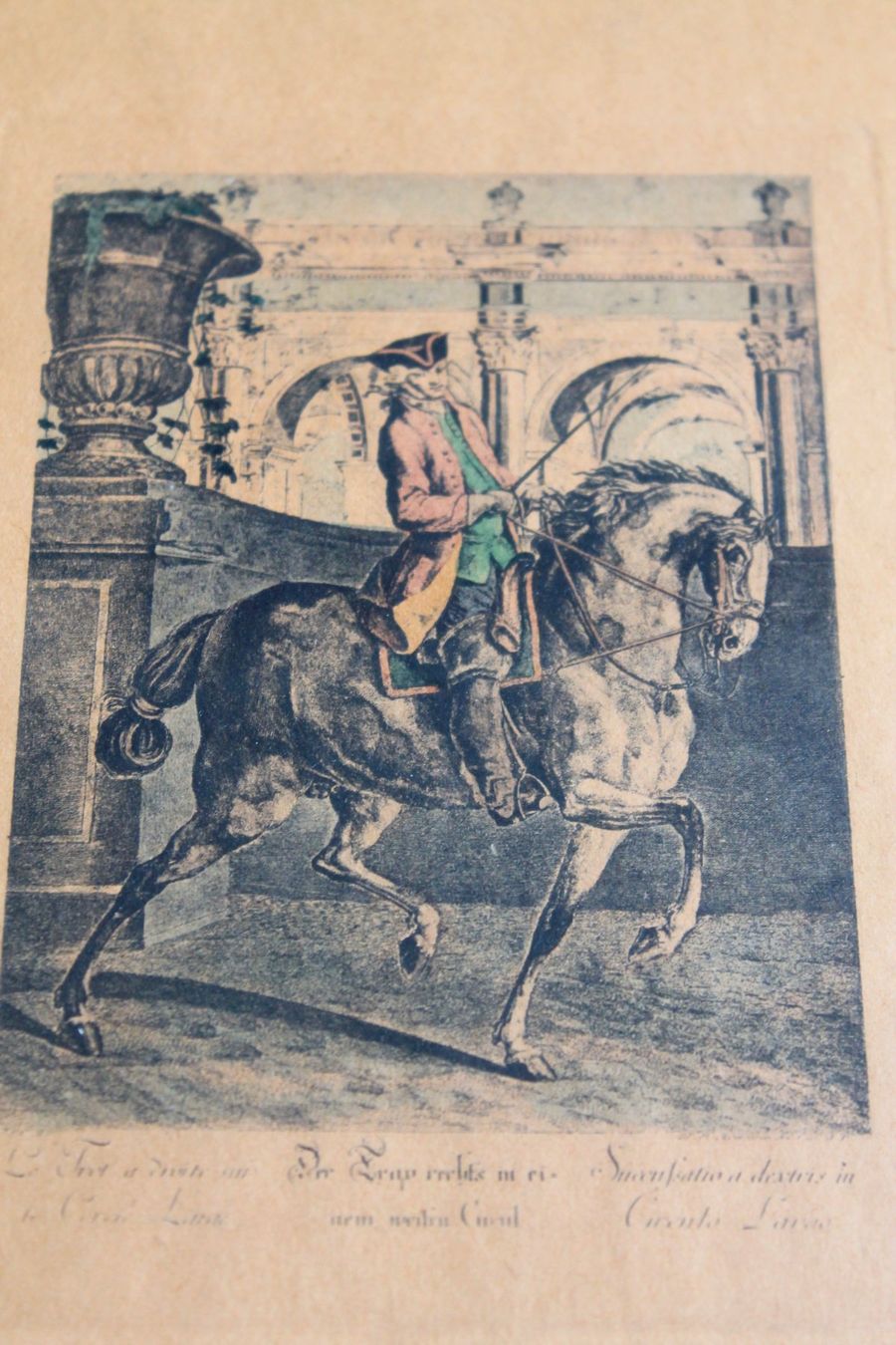 Grafica & Litografie: J. E. Ridinger - Der Trap rechts in einem weiten Circul – Usato da Rebstein venduto da QuasarVincent 1