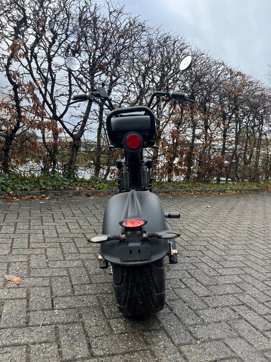 Züriflizzer Scooters: Elektroroller – Gebraucht aus Adliswil von noe_9stw 3