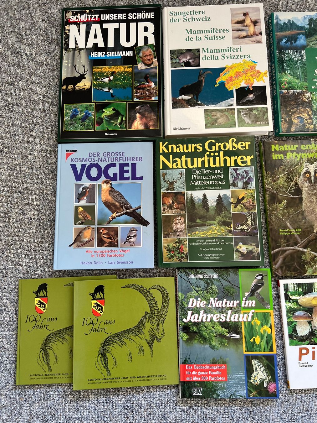 Libri: Bücher / Natur / Tiere / Jagd – Usato da aarwangen venduto da Butzi99 1