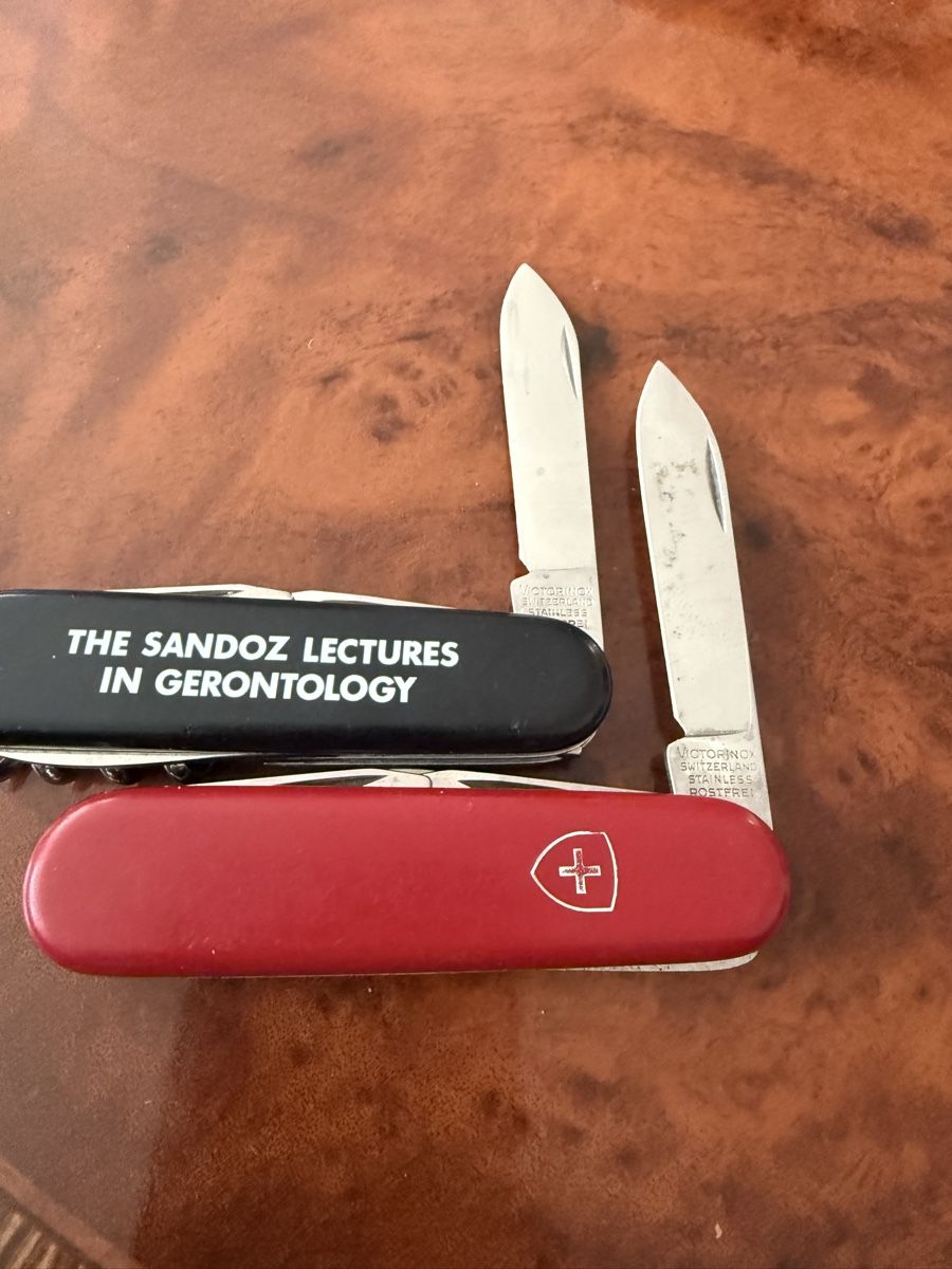 Victorinox Couteaux de poche: 2 Victorinox  – D'occasion à Pratteln par belita03 2