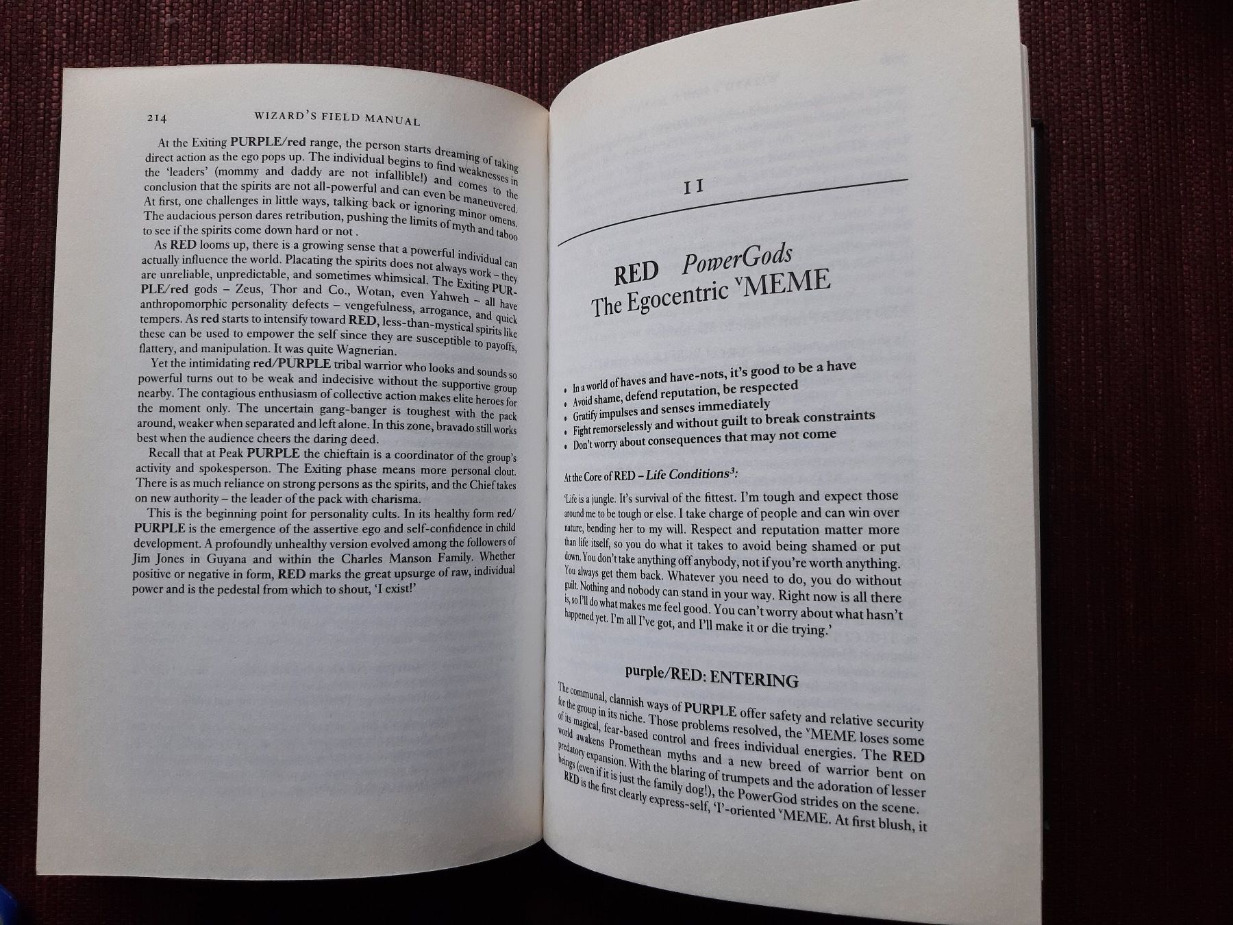 Bücher: Beck Cowan - Spiral Dynamics – Gebraucht aus Fribourg von metalhands 3