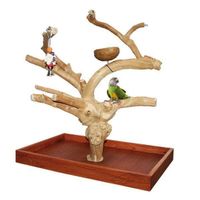 Java Tree Tischfreisitz für Papageien