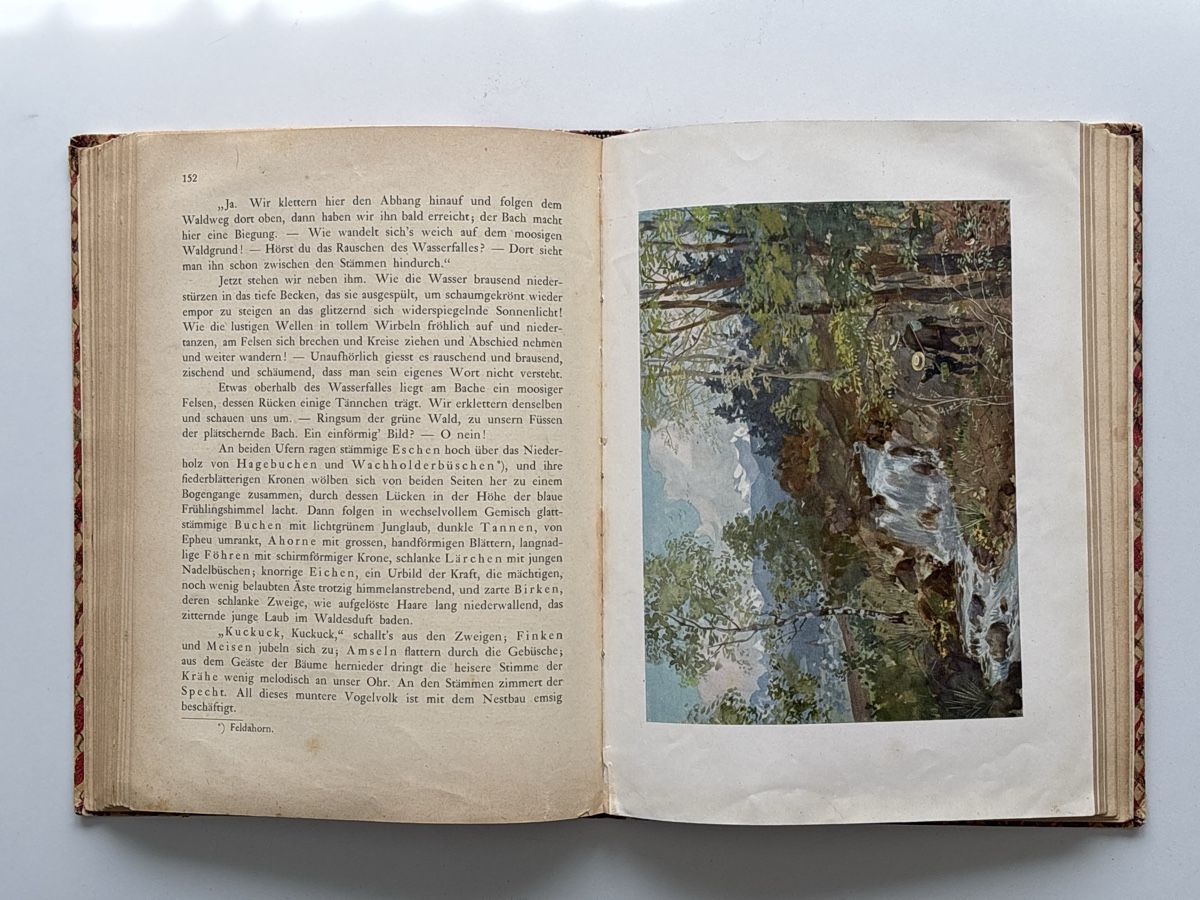Bücher: Schweizer Jugendschatz – Gebraucht aus Zürich von Masaiti 3