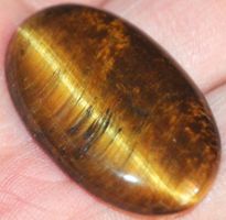 Cabochon L-4698 – Tigerauge 34x22m