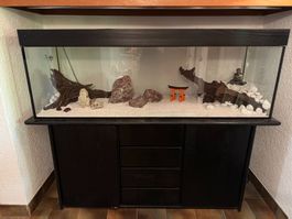 Grosses Aquarium mit Untermöbel, inkl. Zubehör