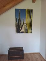 Kaktusbild
