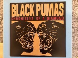 Black Pumas