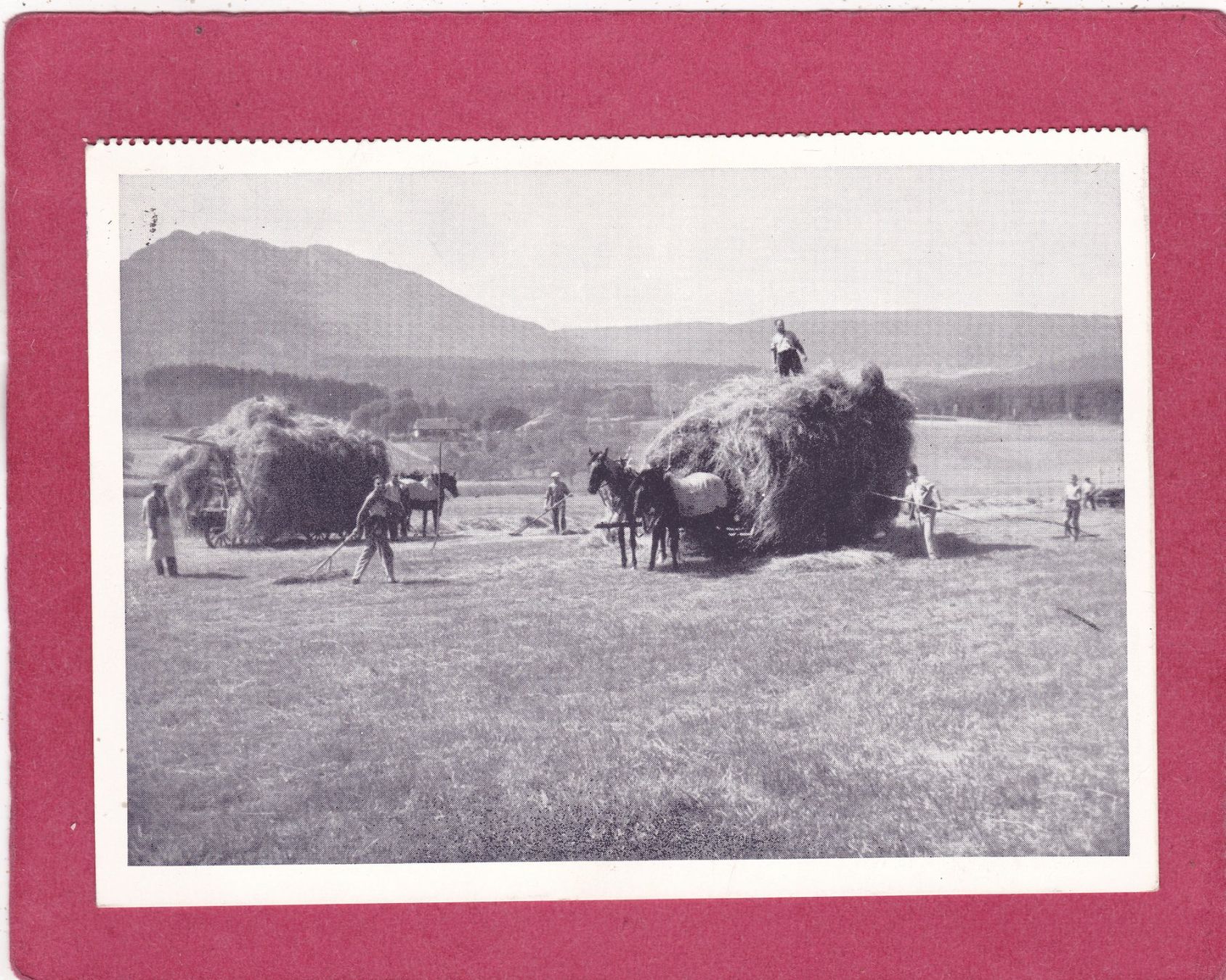 Ansichtskarten: Heuernte 1942 – Gebraucht aus Herisau von Lisegrat2008