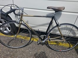 Rennvelo Gold & Black RH 53 cm