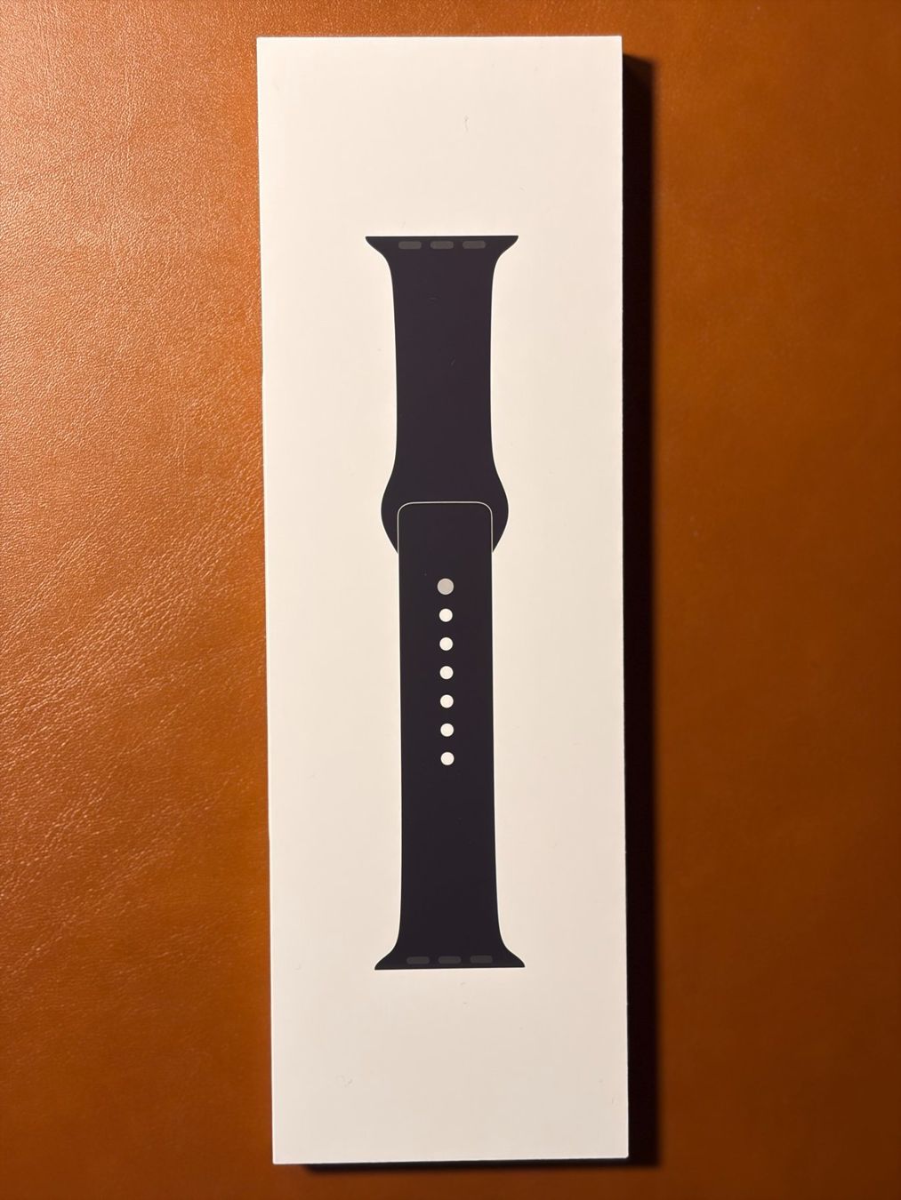 Apple Smartwatch: Apple Watch Ultra, 1. Generation, 49mm – Usato da Erlenbach ZH venduto da riDaniCo 7