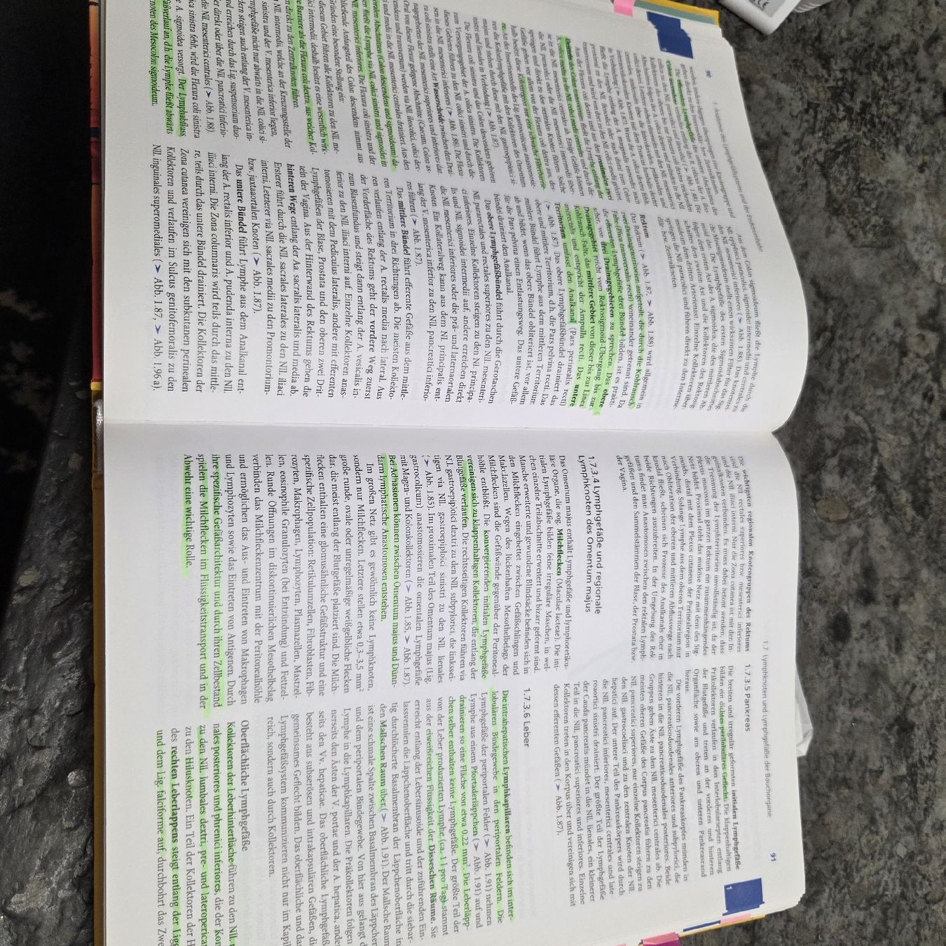 Bücher: Lehrbuch Lymphologie – Gebraucht aus Meggen von Ram_779z 1