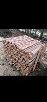 Holzpfähle