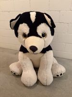Stofftier Husky Plüschtier gross guter Zustand